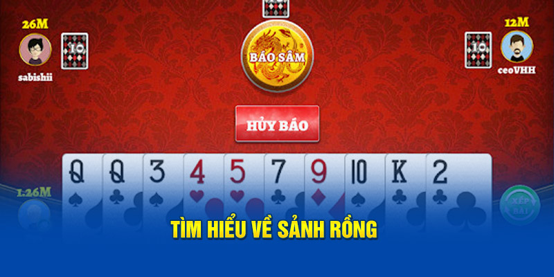 Tìm hiểu về sảnh Rồng